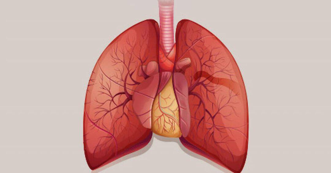Asthma treatment in Greater Noida